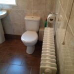 A disabled bathroom with a toilet beside a radiator and tiled walls.